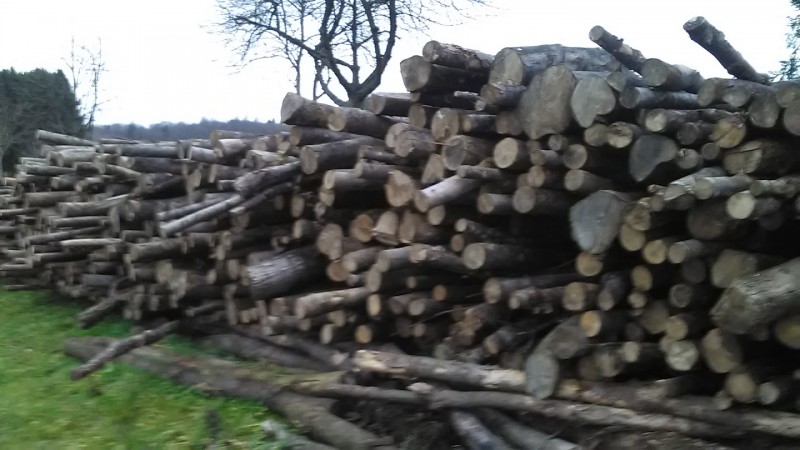 Kleiner alter Haufen Holz.jpg