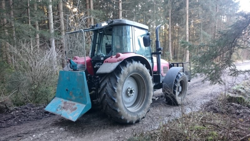 DSC_7134 (Small).JPG