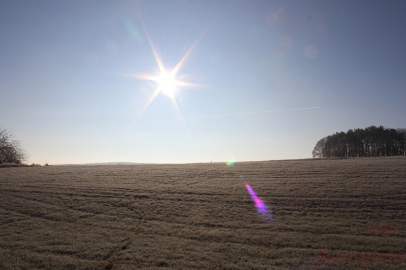 Bildla Nummera 001.jpg