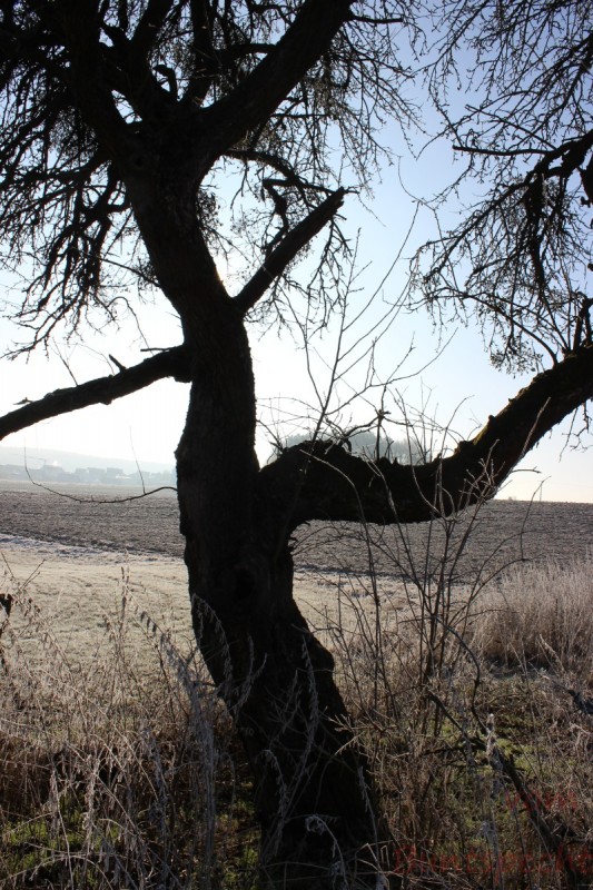 Bildla Nummera 003.jpg