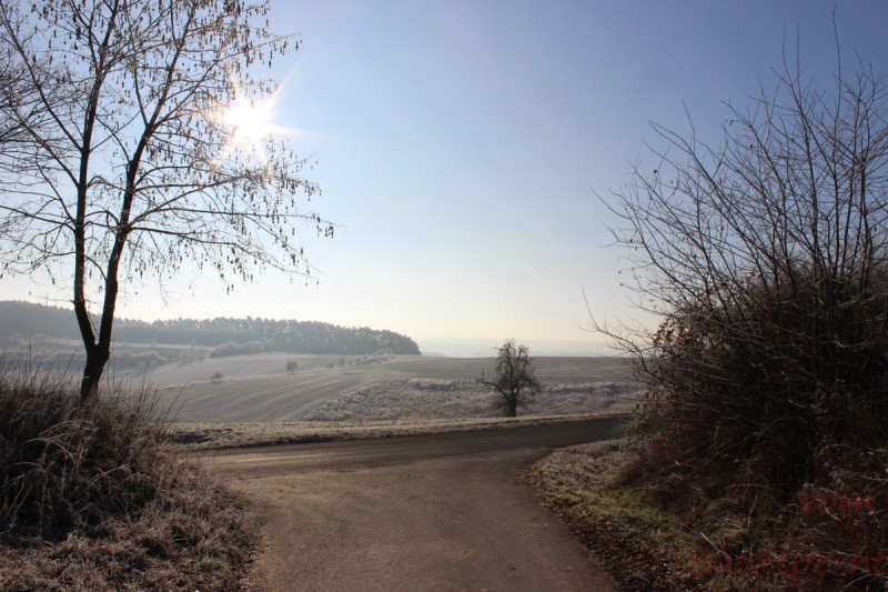 Bildla Nummera 005.jpg