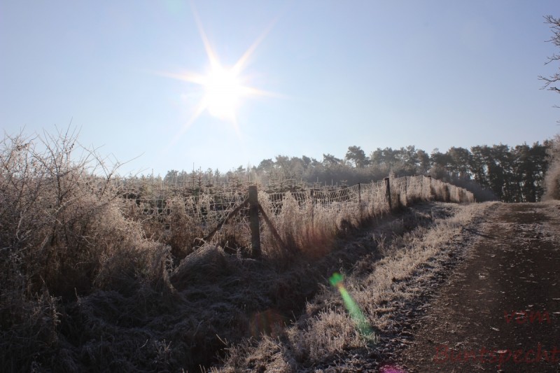 Bildla Nummera 006.jpg