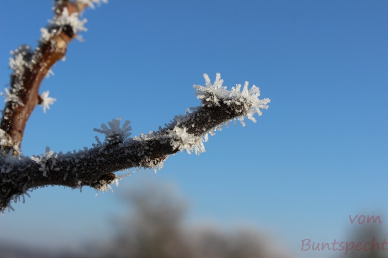 Bildla Nummera 007.jpg