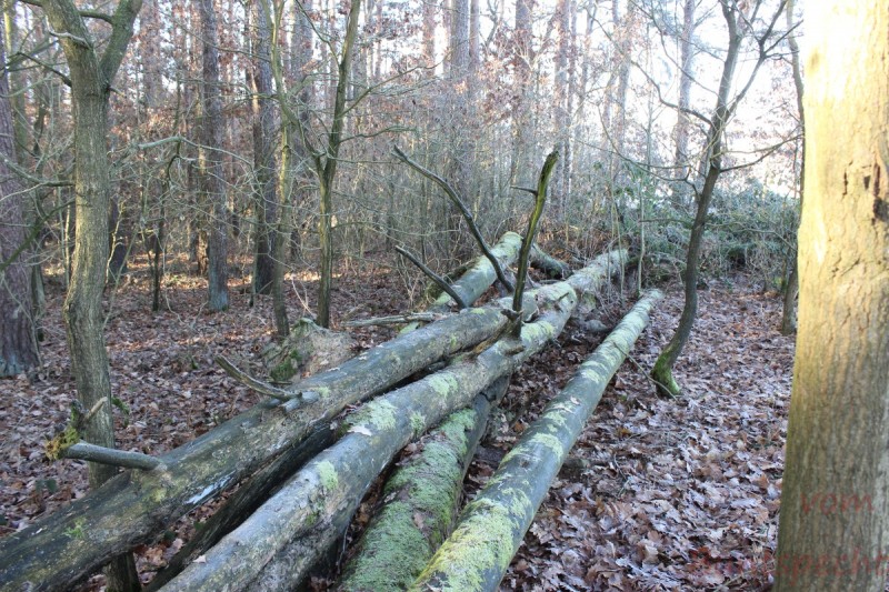 Bildla Nummera 008.jpg