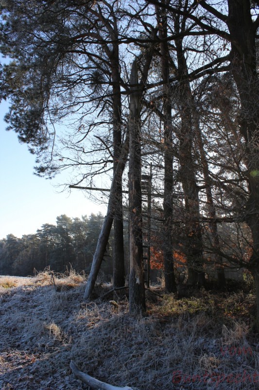 Bildla Nummera 009.jpg