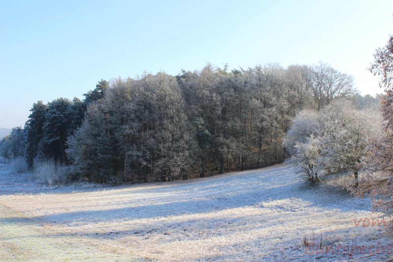 Bildla Nummera 010.jpg