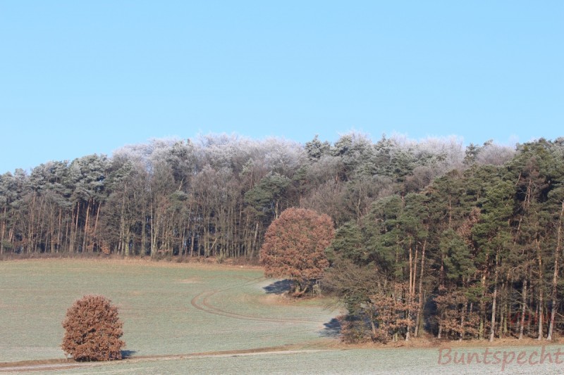 Bildla Nummera 015.jpg