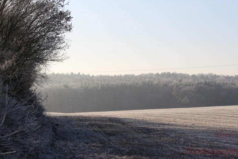 Bildla Nummera 016.jpg