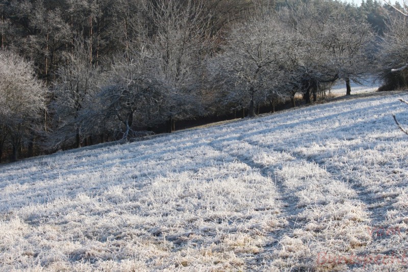 Bildla Nummera 022.jpg