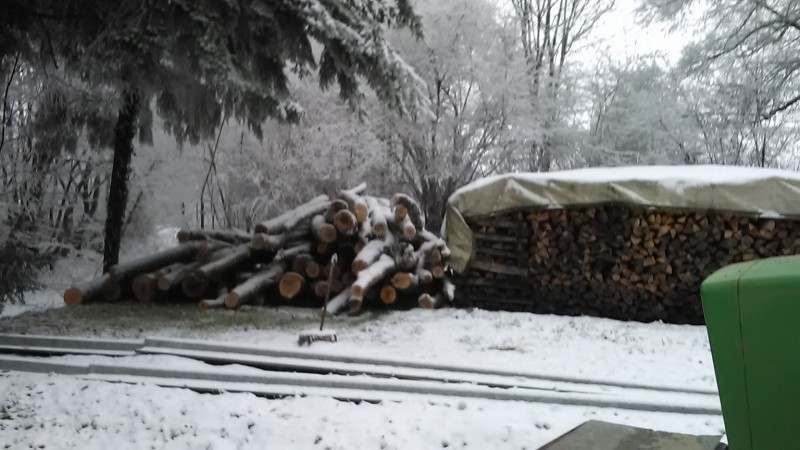 Freitag 30.12.16 (2).jpg