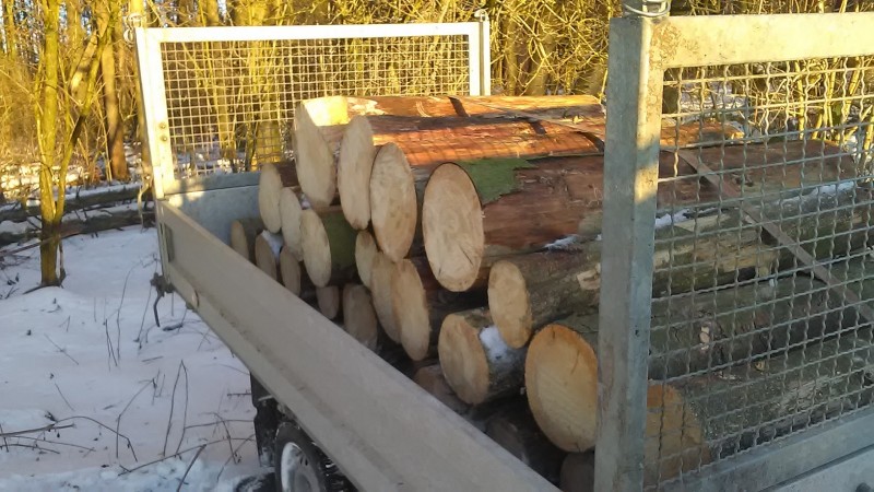 Fichtebrennholz (2).jpg