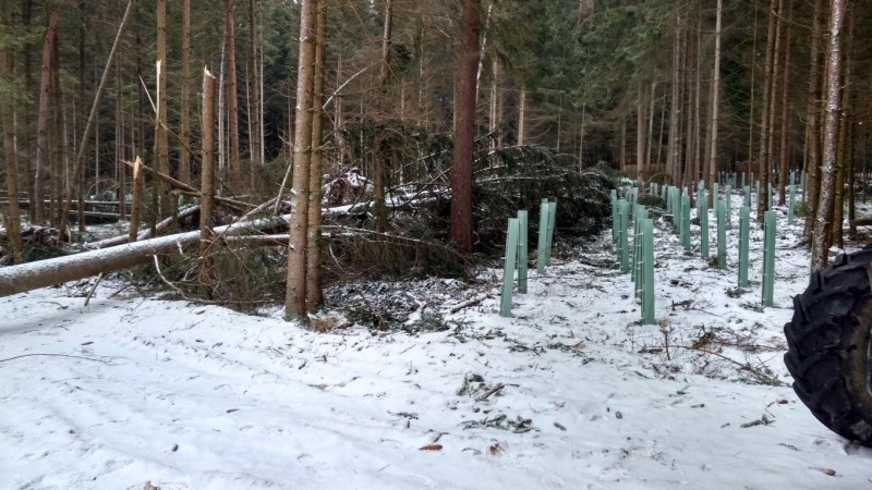 K1024_IMG_20170114_090550667_HDR (1).JPG