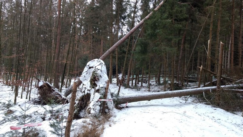 K1024_IMG_20170114_090558239 (1).JPG