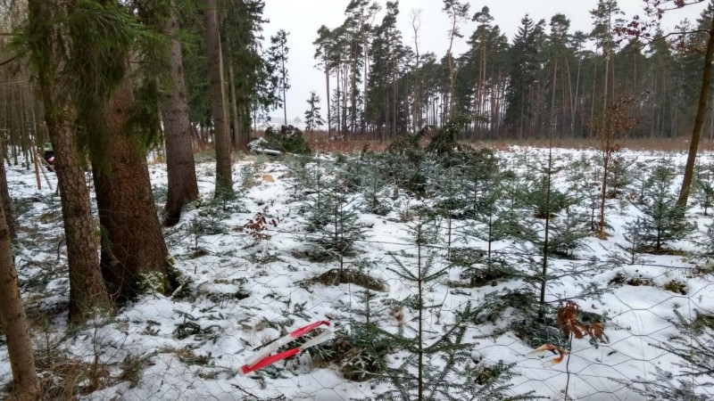 K1024_IMG_20170114_090613351_HDR (1).JPG