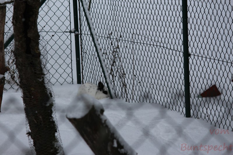 Bildla Nummera 002.jpg