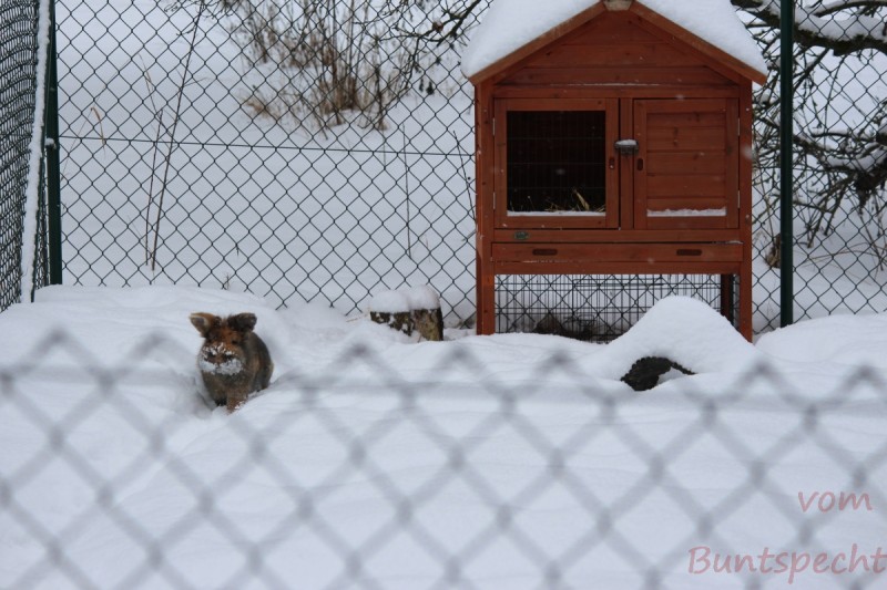 Bildla Nummera 003.jpg