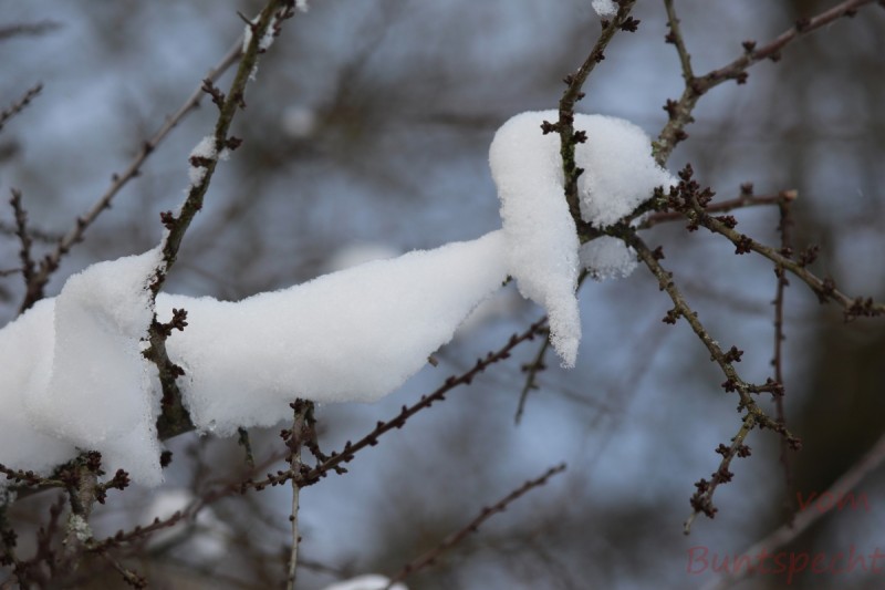 Bildla Nummera 002.jpg