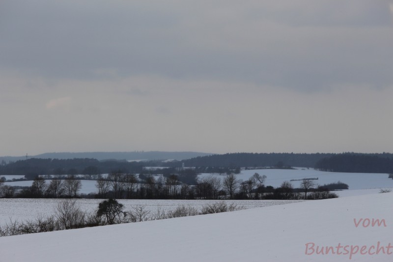 Bildla Nummera 014.jpg