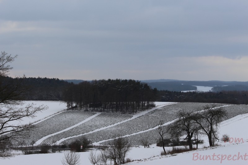 Bildla Nummera 015.jpg