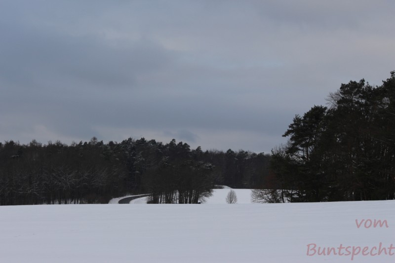 Bildla Nummera 016.jpg