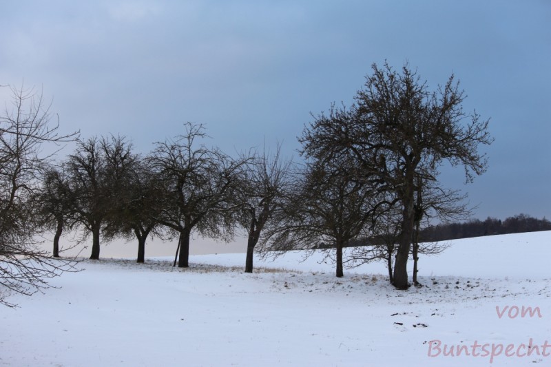 Bildla Nummera 017.jpg