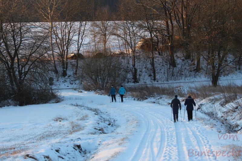 Bildla Nummera 003.jpg