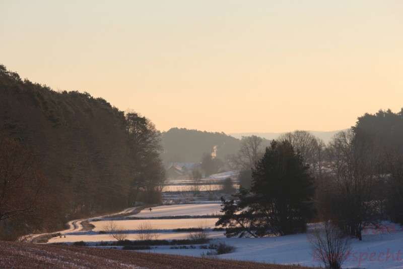 Bildla Nummera 004.jpg