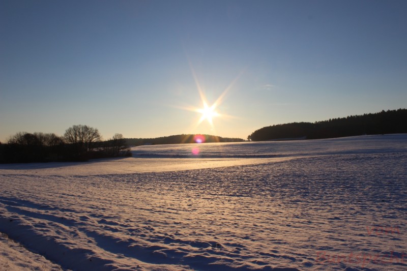 Bildla Nummera 005.jpg