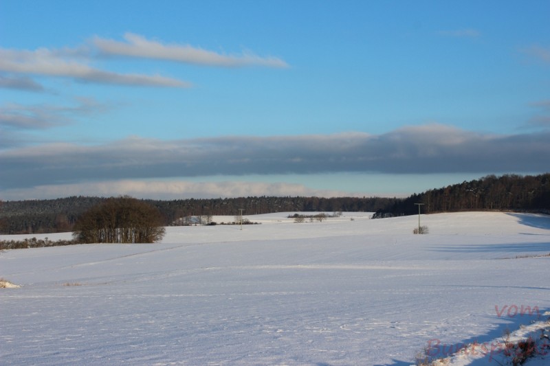 Bildla Nummera 006.jpg