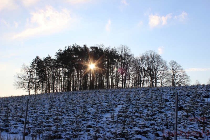 Bildla Nummera 007.jpg