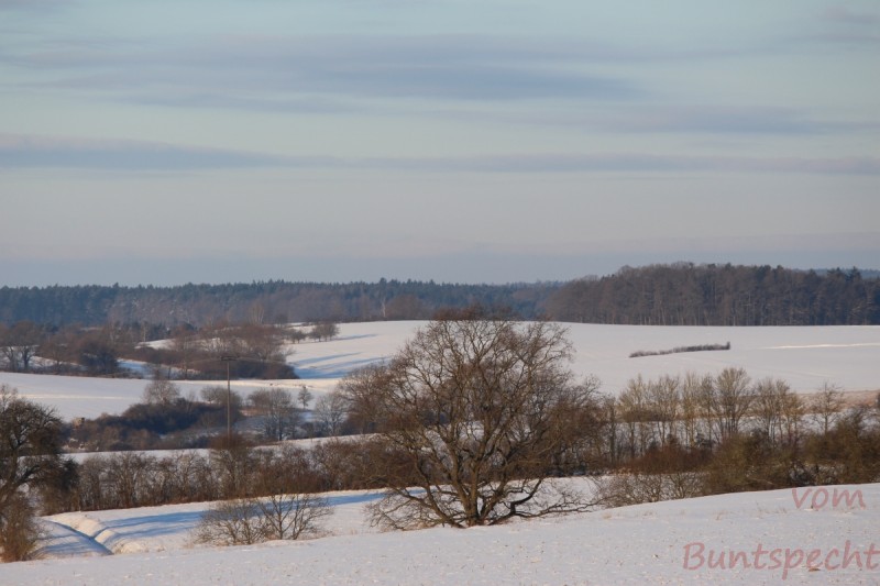 Bildla Nummera 009.jpg