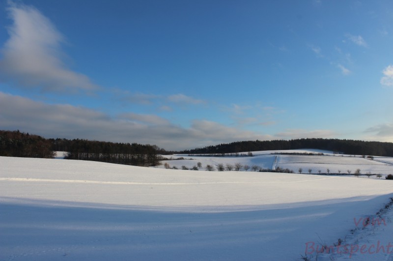 Bildla Nummera 010.jpg