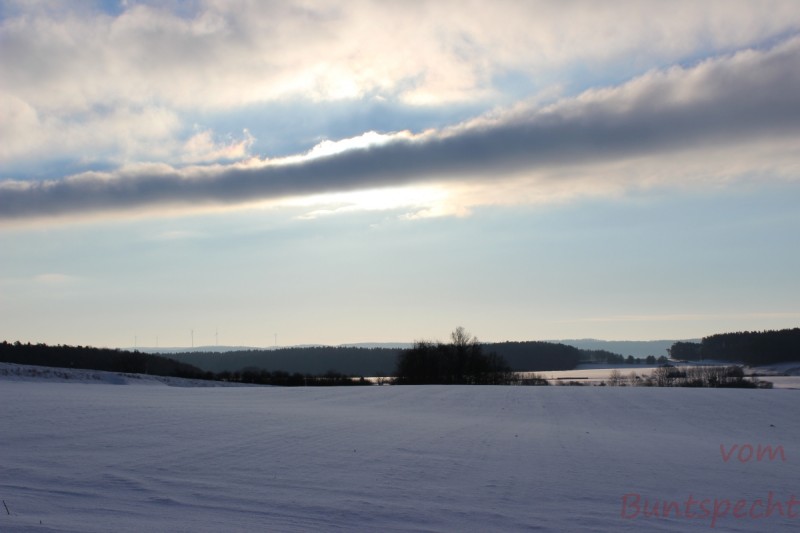 Bildla Nummera 011.jpg