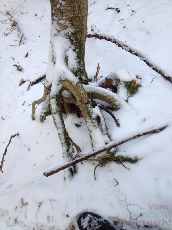 Bildla Nummera 001.jpg