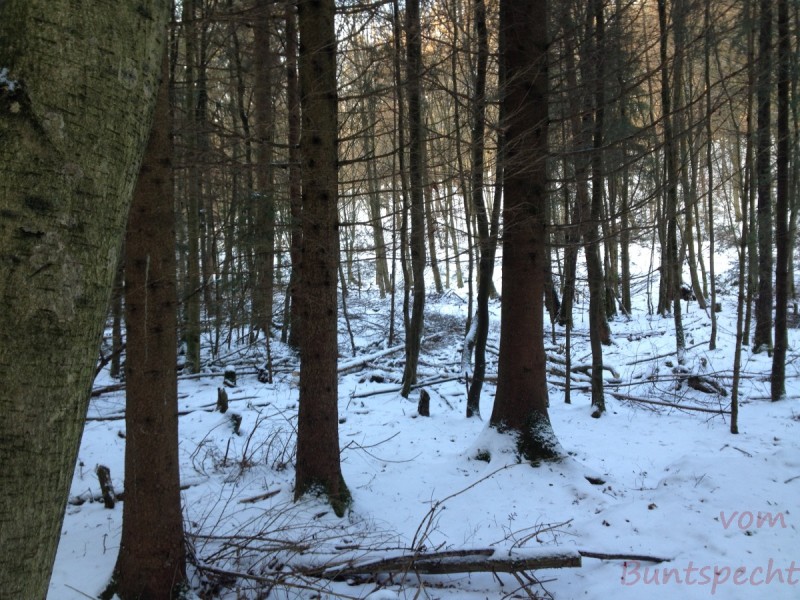 Bildla Nummera 002.jpg