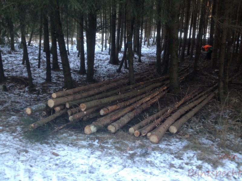 Bildla Nummera 007.jpg