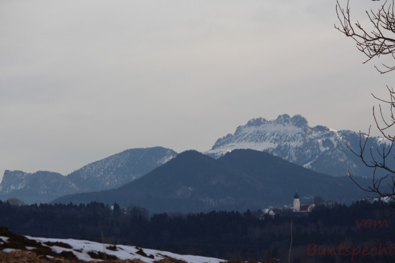 Bildla Nummera 001.jpg