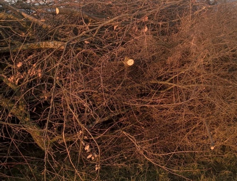 WP_20170214_17_10_16_Pro (2).jpg