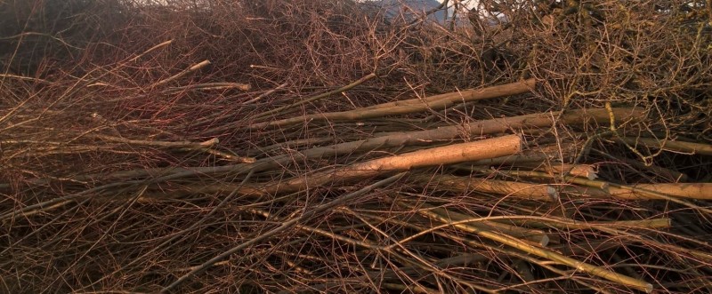 WP_20170214_17_10_21_Pro (3).jpg