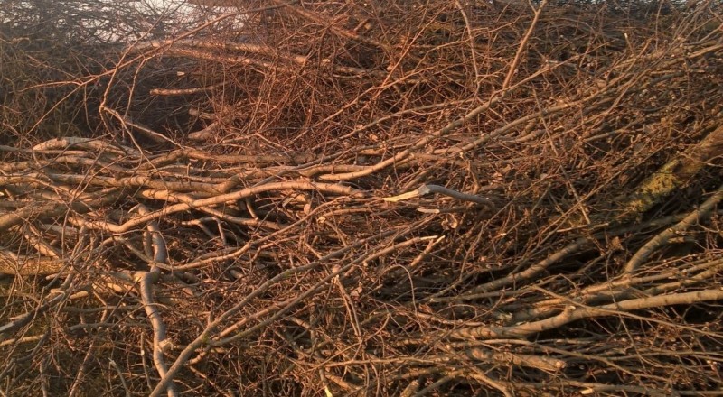 WP_20170214_17_10_31_Pro (4).jpg