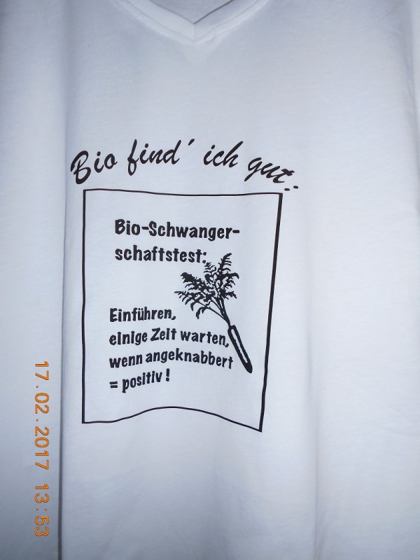 Bio-Schwangerschaftstest.JPG