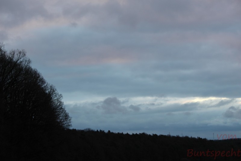 Bildla Nummera 001.jpg