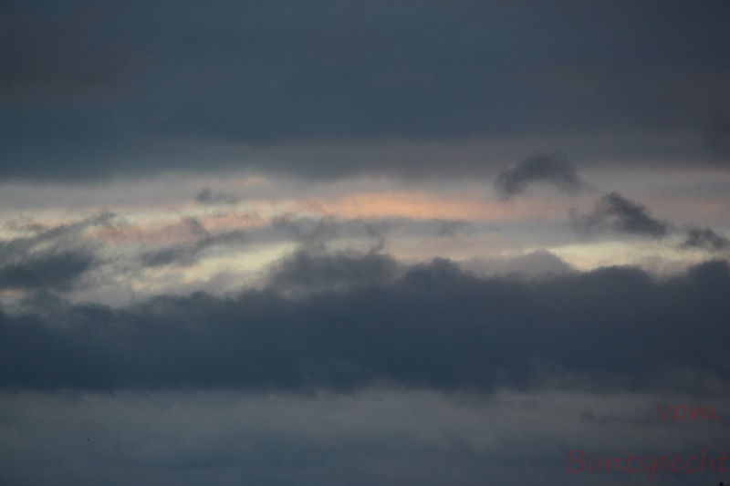 Bildla Nummera 002.jpg