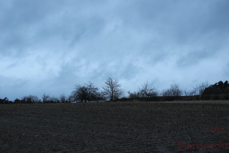 Bildla Nummera 003.jpg