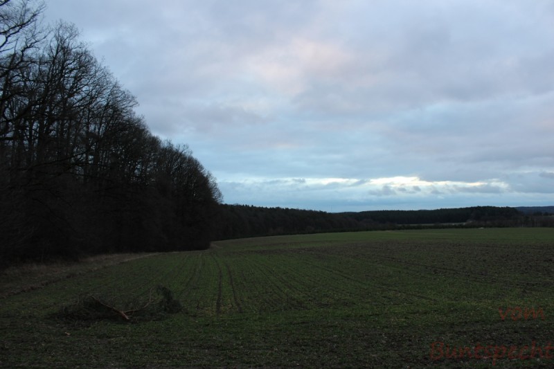 Bildla Nummera 004.jpg