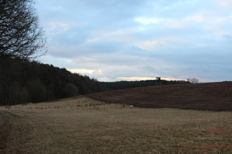 Bildla Nummera 007.jpg