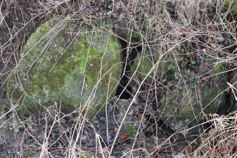 Bildla Nummera 009.jpg