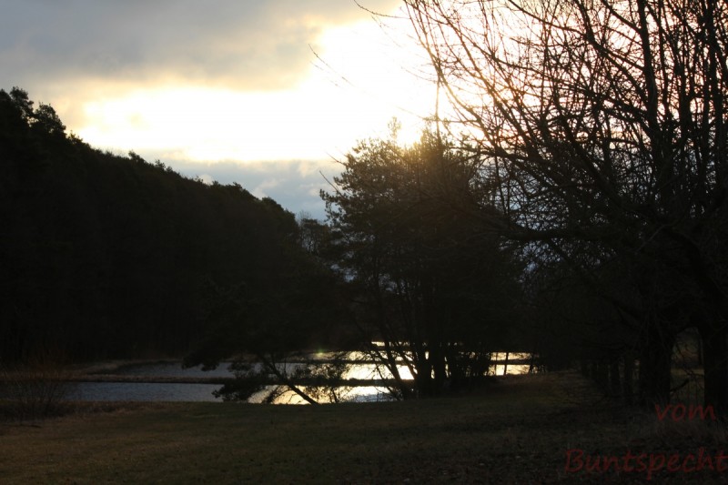 Bildla Nummera 011.jpg