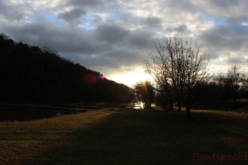 Bildla Nummera 012.jpg