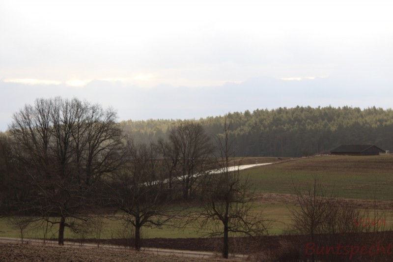 Bildla Nummera 013.jpg